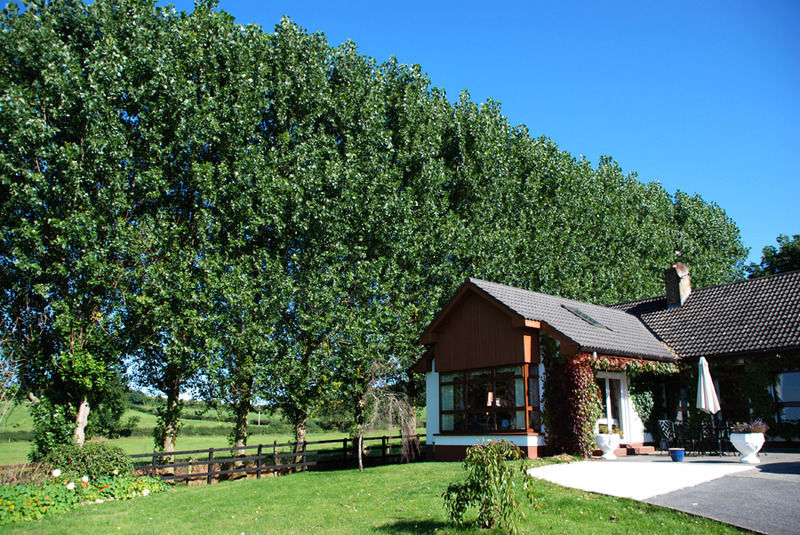 Clomantagh The Bungalow Farmhouse מראה חיצוני תמונה
